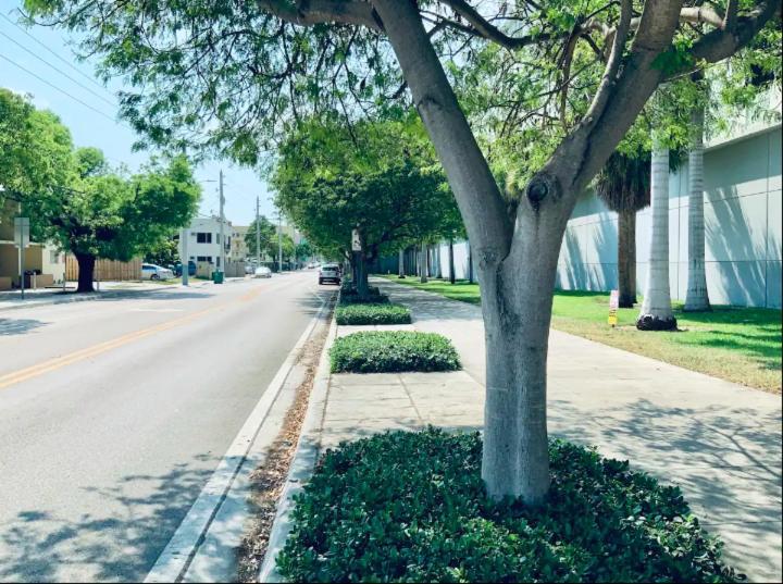 Apartments In The Heart Of Miami - Port Of Miami / Miami Airport 외부 사진